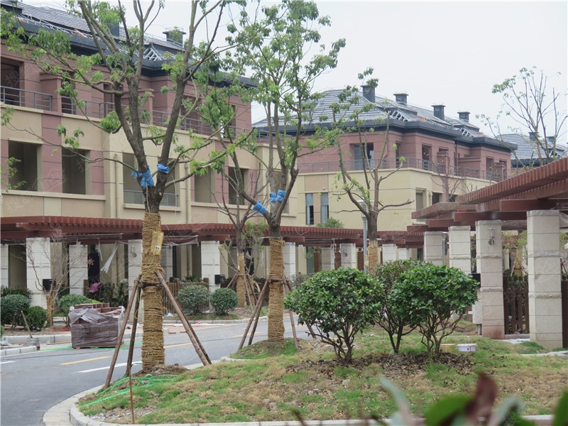 汇锦城实景图——别墅