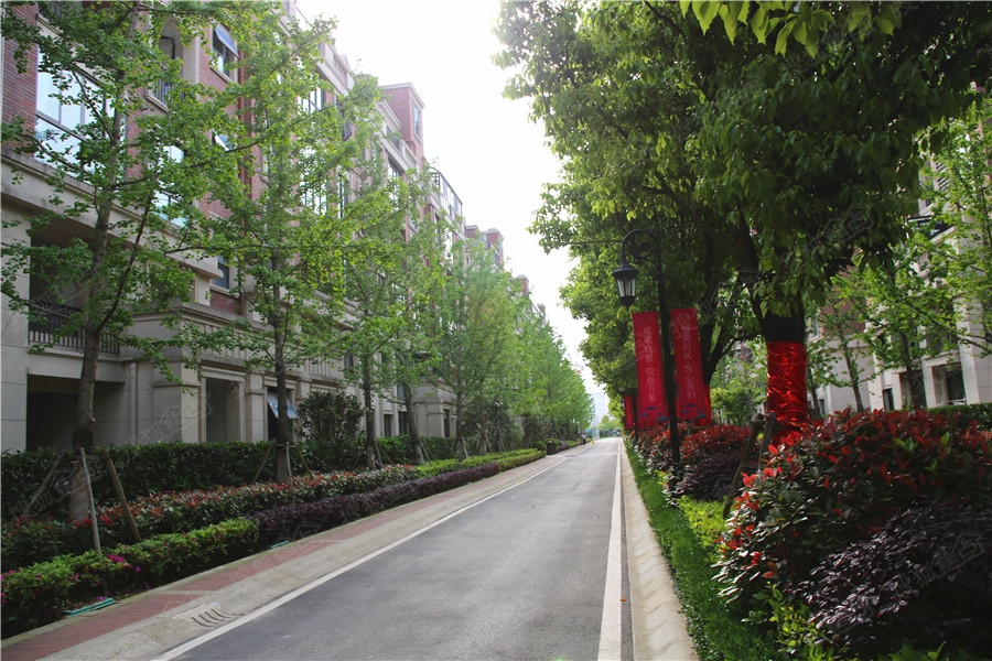 a_380333407.jpg