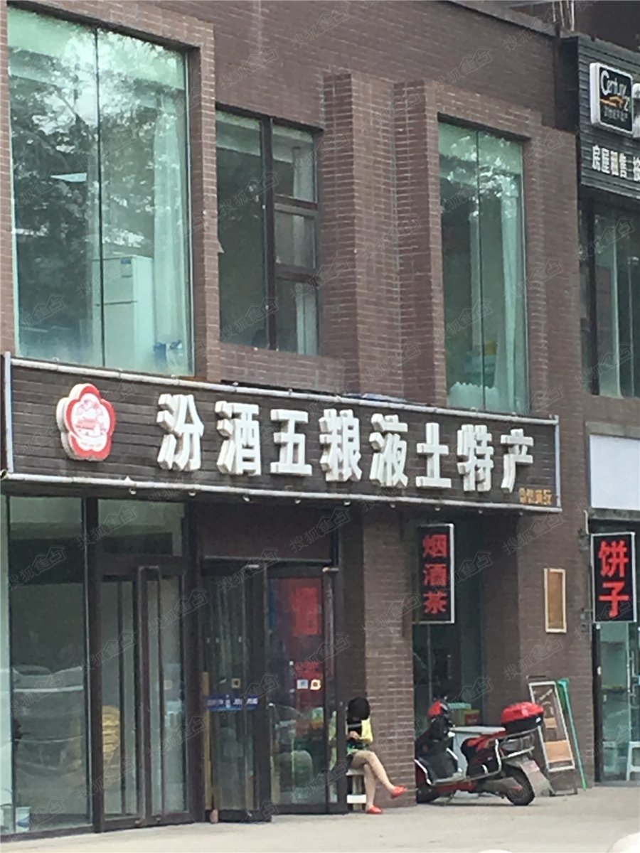 a_381296221.jpg